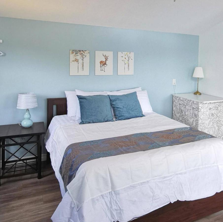Knotty Pine Ocean Front Suite - Adults Only Ingonish Zewnętrze zdjęcie