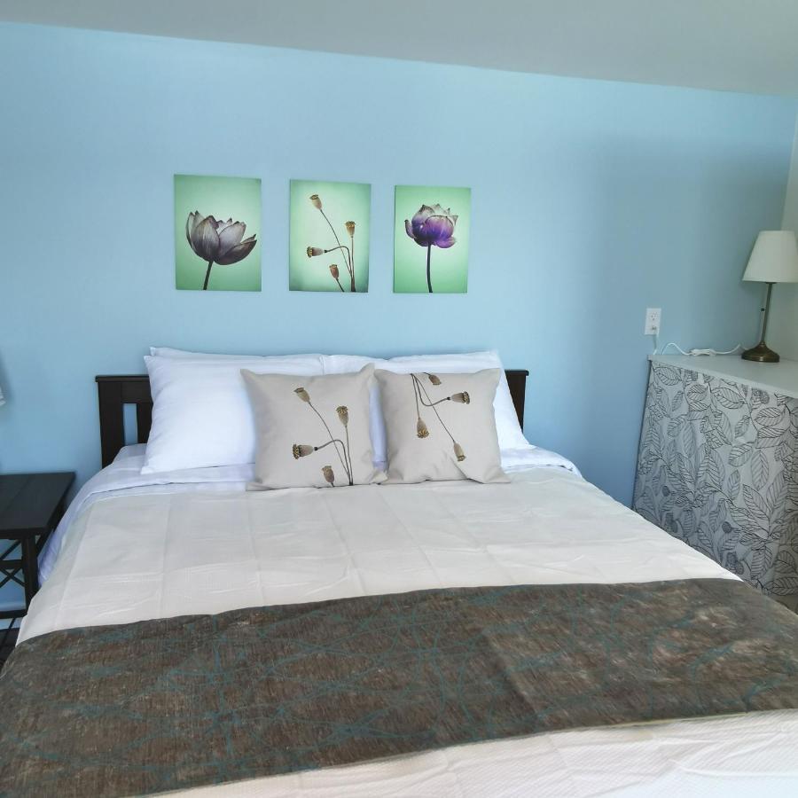Knotty Pine Ocean Front Suite - Adults Only Ingonish Zewnętrze zdjęcie